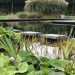 Naturteich beim Ferienhaus in Baarle Nassau, einer Oase der Ruhe in Kempen, Nordbrabant.