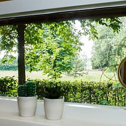 Blick auf die gruene Natur vom Ferienhaus in Oirschot, gelegen in der Region Kempen, Nordbrabant. Idealer Ort fuer Ruhe und Entspannung.
