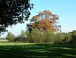 Guest house 411944 • Holiday property Kempen • Vakantiehuis in Baarschot (Hilvarenbeek)  • 11 of 26