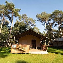 Unterkunft 412006 - Zelthaus Kempen - Safaritent 4