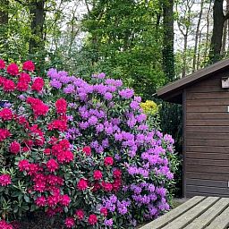 Verblijf 412708 - Vakantiewoning Kempen - Huisje in Luyksgestel