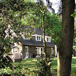 Vakantiehuisje in Luyksgestel verscholen tussen de bomen, ideaal voor een rustige vakantie.