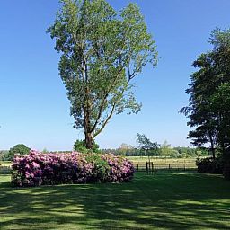 Ruime tuin bij Vakantiehuisje in Luyksgestel met kleurrijke bloemen en een prachtig uitzicht.