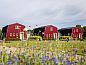 Guest house 413139 • Holiday property Kempen • Vakantiehuisje in Hapert  • 1 of 24