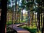 Guest house 413139 • Holiday property Kempen • Vakantiehuisje in Hapert  • 13 of 24