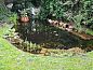 Guest house 413605 • Holiday property Kempen • Vakantiehuis in Middelbeers  • 13 of 16