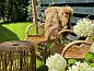 Guest house 420212 • Chalet Hart van Brabant • Vakantiehuis in Oisterwijk  • 6 of 26