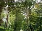 Guest house 420212 • Chalet Hart van Brabant • Vakantiehuis in Oisterwijk  • 7 of 26