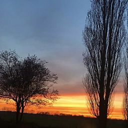 Guest house 421820 - Holiday property Hart van Brabant - Vakantiehuis in Chaam