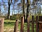 Guest house 423309 • Holiday property Hart van Brabant • Huisje in Mariahout  • 9 of 10