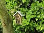 Guest house 424308 • Holiday property Hart van Brabant • Vakantiehuisje in Hank  • 12 of 26