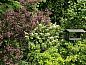 Guest house 424308 • Holiday property Hart van Brabant • Vakantiehuisje in Hank  • 13 of 26