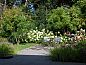 Guest house 425007 • Holiday property Hart van Brabant • Huisje in Helvoirt  • 11 of 20