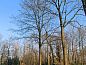 Verblijf 425614 • Vakantiewoning Hart van Brabant • Vakantiehuis in Boxtel  • 8 van 11