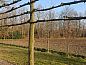 Verblijf 425614 • Vakantiewoning Hart van Brabant • Vakantiehuis in Boxtel  • 9 van 11