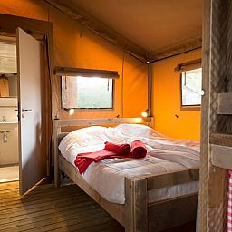 Verblijf 425706 - Tenthuis Hart van Brabant - Lodgetent