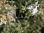 Guest house 426205 • Holiday property Hart van Brabant • Huisje in Helenaveen  • 5 of 26