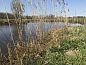 Guest house 426310 • Holiday property Hart van Brabant • Vakantiehuisje in Sint-Michielsgestel  • 13 of 17