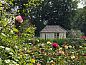 Guest house 426410 • Holiday property Hart van Brabant • Vakantiehuisje in Loon op Zand  • 2 of 19