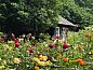 Guest house 426412 • Holiday property Hart van Brabant • Vakantiehuis in Loon op Zand  • 14 of 17