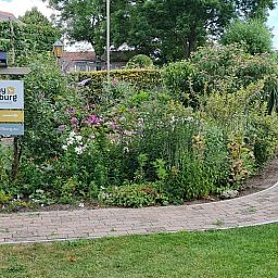 Ingang van Vakantiehuisje in Tilburg, omgeven door natuur.