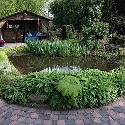 Vakantiehuisje in Best met vijverzicht, serene omgeving in Hart van Brabant, Noord Brabant.