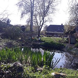 Natuurlijke tuin bij Vakantiehuisje in Best, rustgevende omgeving in Hart van Brabant, Noord Brabant.
