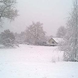 Unterkunft 430107 - Ferienhaus Noordoost Brabant - Vakantiehuisje in Nuland