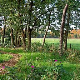 Unterkunft 430110 - Ferienhaus Noordoost Brabant - Huisje in Nuland