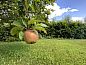 Guest house 430311 • Holiday property Noordoost Brabant • De Meerenhof  • 11 of 26