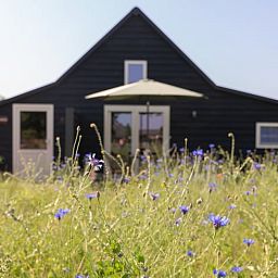 Huisje in Volkel omgeven door wilde bloemen in Noordoost Brabant, Noord Brabant.