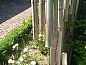 Guest house 432304 • Holiday property Noordoost Brabant • Huisje in Elsendorp  • 6 of 14
