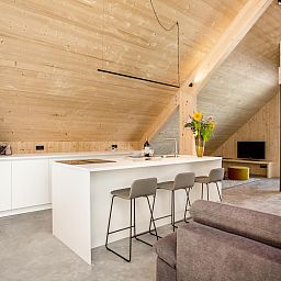 Unterkunft 432310 - Ferienhaus Noordoost Brabant - Villa WOOD