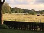 Guest house 432705 • Holiday property Noordoost Brabant • Huisje in Oploo  • 5 of 18