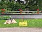 Unterkunft 433213 • Ferienhaus Noordoost Brabant • Vakantiehuis in Langenboom  • 14 von 25