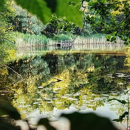 Guest house 433316 - Holiday property Noordoost Brabant - NB205