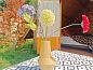 Guest house 433720 • Holiday property Noordoost Brabant • Vakantiehuisje in Erp  • 4 of 26