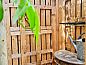 Guest house 433720 • Holiday property Noordoost Brabant • Vakantiehuisje in Erp  • 12 of 26