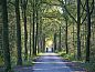 Verblijf 433721 • Vakantiewoning Noordoost Brabant • Bosbeertje 43  • 14 van 26