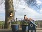 Verblijf 434808 • Vakantiewoning Noordoost Brabant • Huisje in Beugen  • 3 van 26