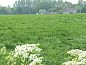 Verblijf 434808 • Vakantiewoning Noordoost Brabant • Huisje in Beugen  • 14 van 26