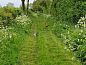 Guest house 435503 • Holiday property Noordoost Brabant • Vakantiehuisje in Vortum Mullem  • 11 of 26