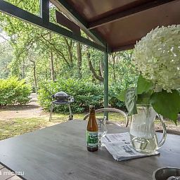 Guest house 436033 - Bungalow Noordoost Brabant - Specht