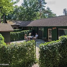 Guest house 436035 - Bungalow Noordoost Brabant - Knobbelzwaan