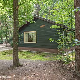Verblijf 436046 - Bungalow Noordoost Brabant - Blauwe Pauw