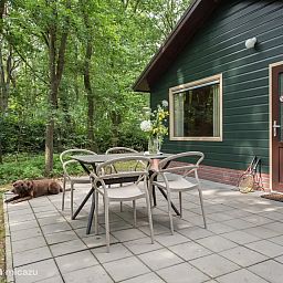 Verblijf 436046 - Bungalow Noordoost Brabant - Blauwe Pauw