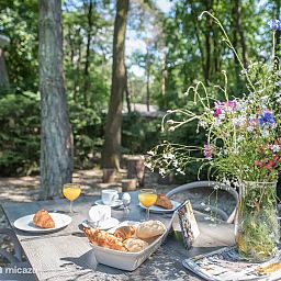 Verblijf 436048 - Bungalow Noordoost Brabant - Roodhalsgans