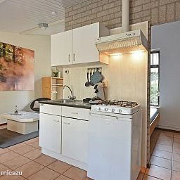 Verblijf 436048 - Bungalow Noordoost Brabant - Roodhalsgans