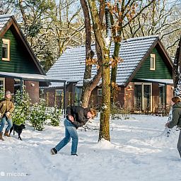 Verblijf 436061 - Bungalow Noordoost Brabant - 6-persoons Bosvilla All Electric