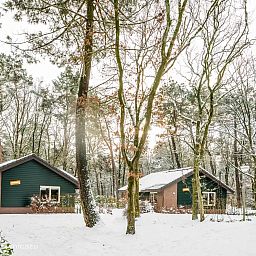Verblijf 436065 - Bungalow Noordoost Brabant - 4-persoons Bosvilla All Electric